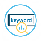SEO Keyword Audit Tool